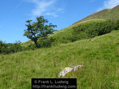 Benbulben